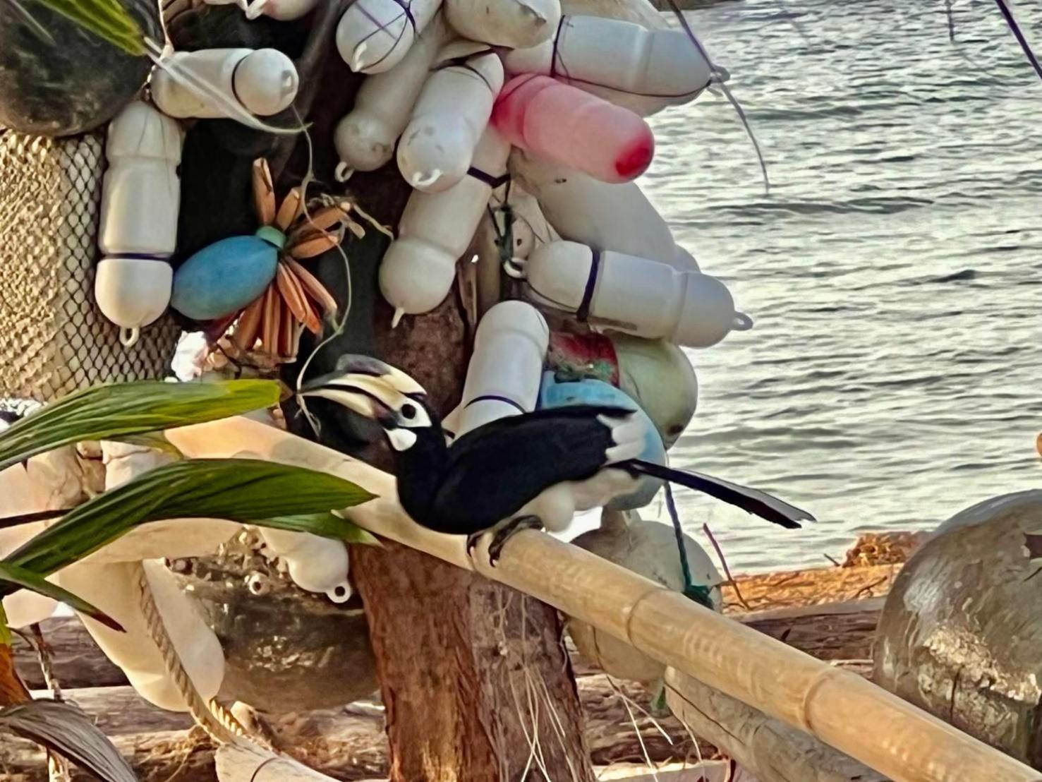 Koh Phaluai Beach Cottage בית נופש