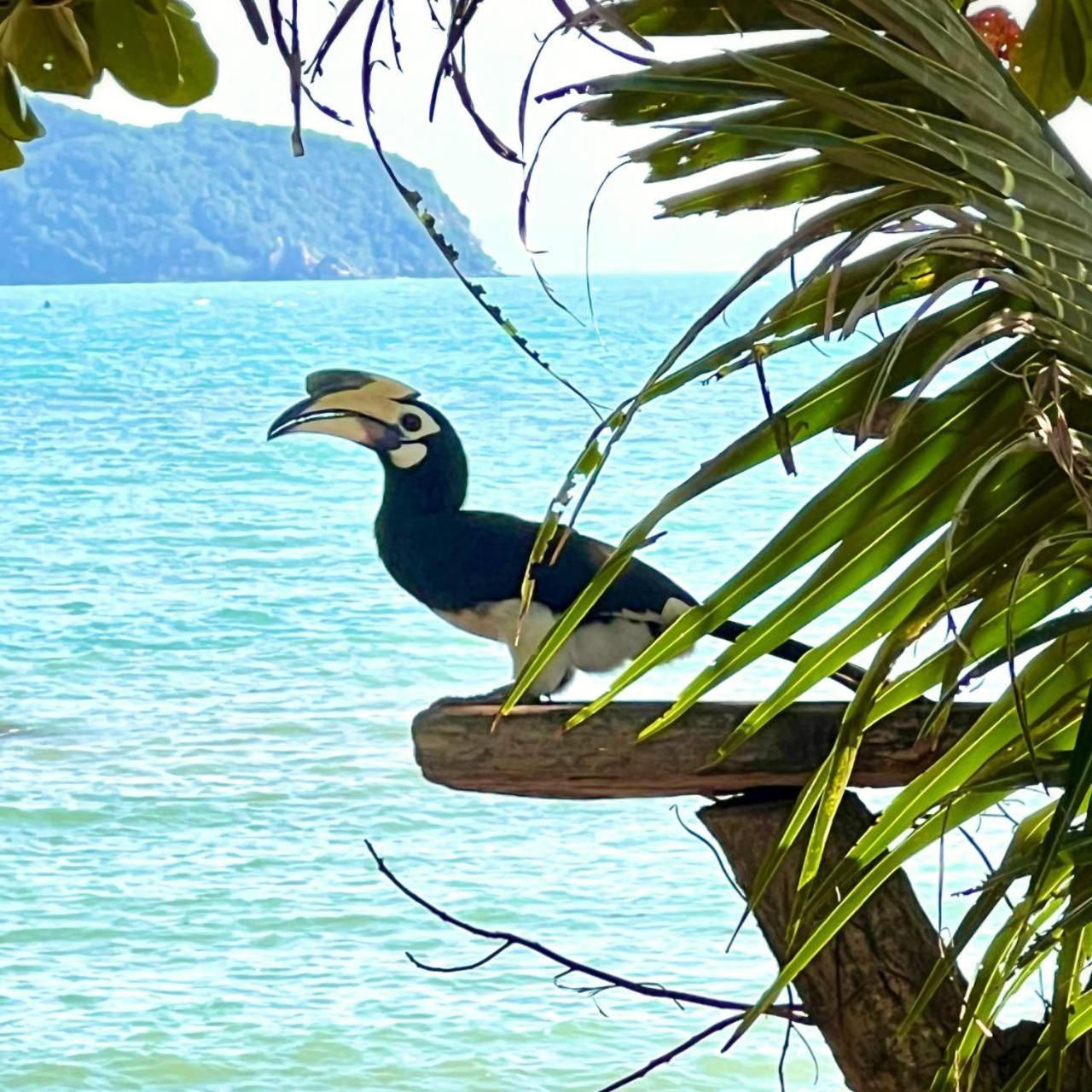 Koh Phaluai Beach Cottage בית נופש